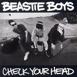 Check Your Head album cover front
